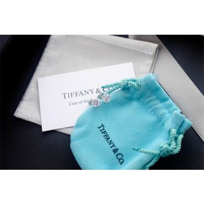 Tiffany Earrings 002